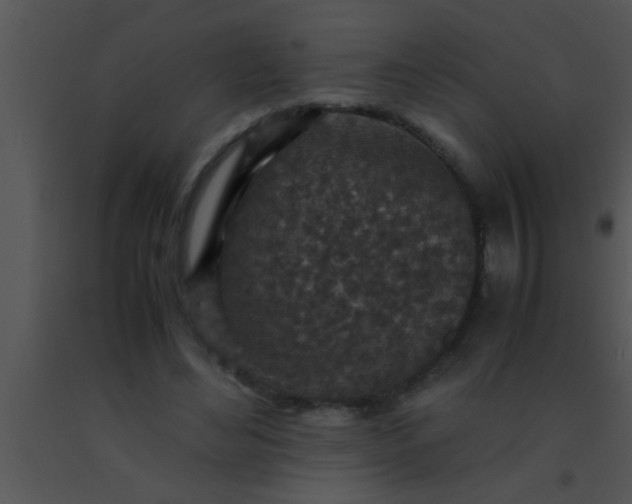 X0000091550492200708311357