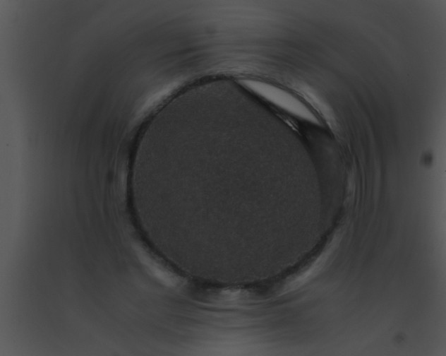 X0000091550493200708311357
