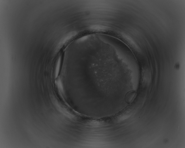 X0000091550494200708311357