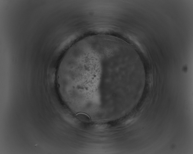 X0000091550495200708311357