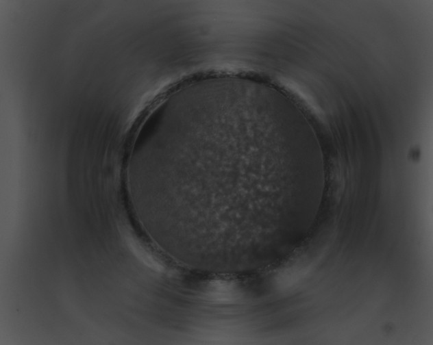 X0000091550496200708311357