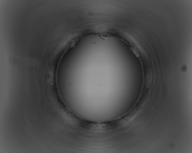 X0000091550497200708311357