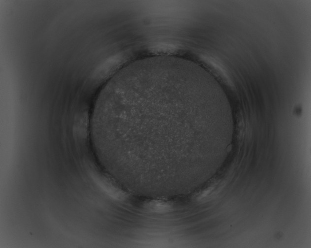 X0000091550498200708311357