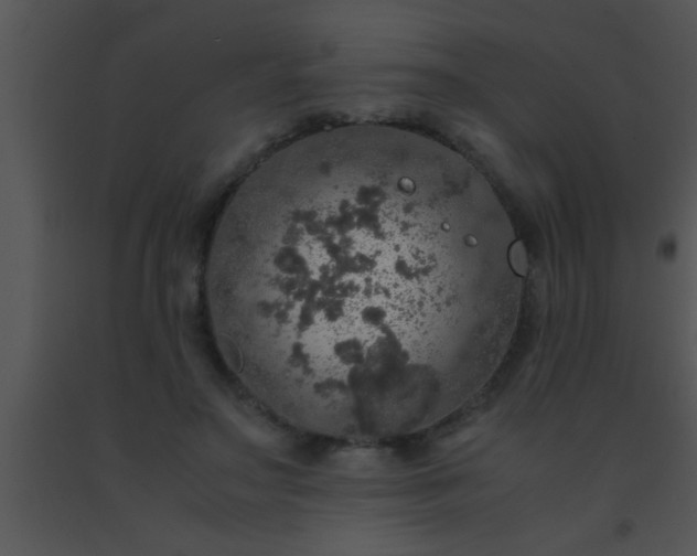 X0000091550499200708311357