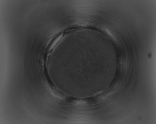 X0000091550500200708311357