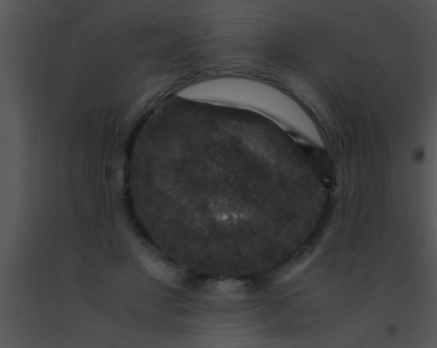 X0000091550501200708311357