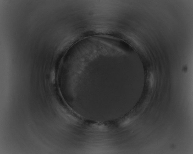 X0000091550502200708311357
