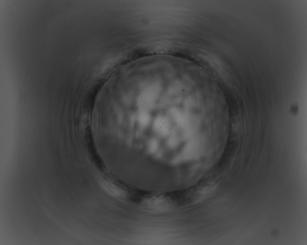 X0000091550503200708311357