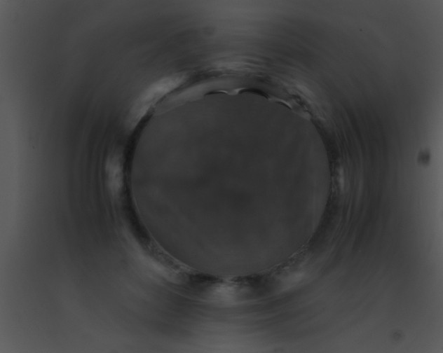 X0000091550504200708311357