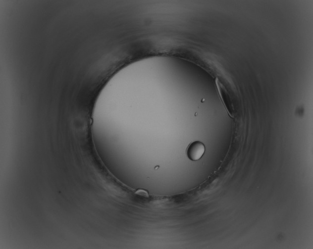 X0000091550505200708311357