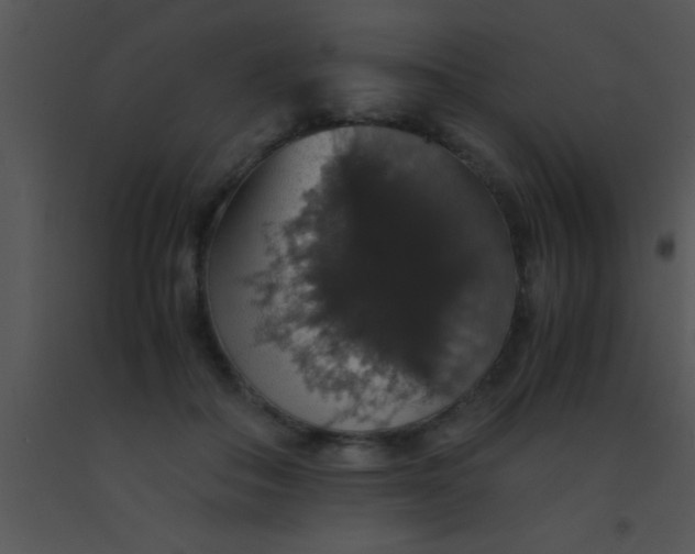 X0000091550506200708311357