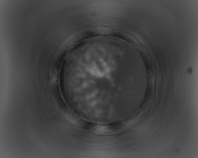 X0000091550507200708311357