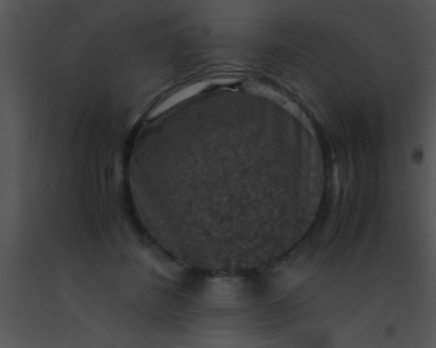 X0000091550508200708311357