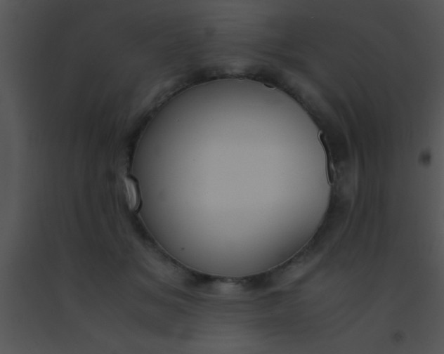 X0000091550509200708311357