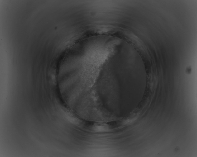 X0000091550510200708311357