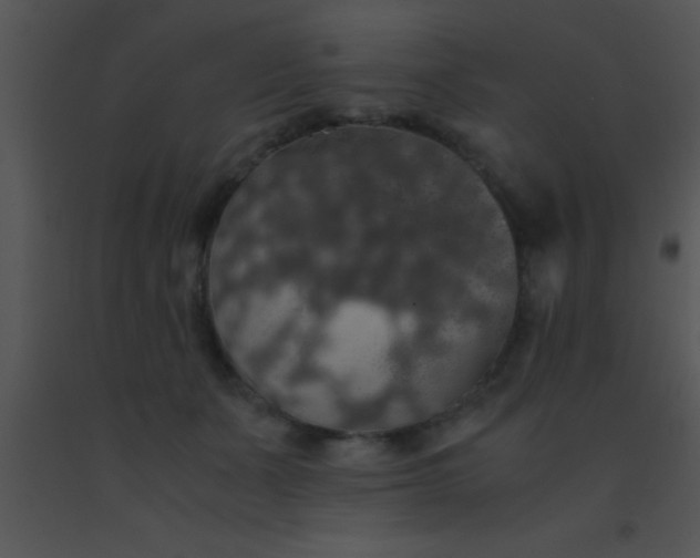 X0000091550511200708311357