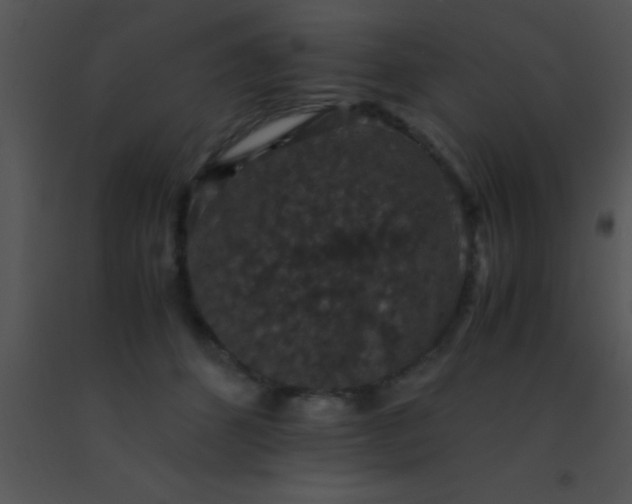 X0000091550512200708311357