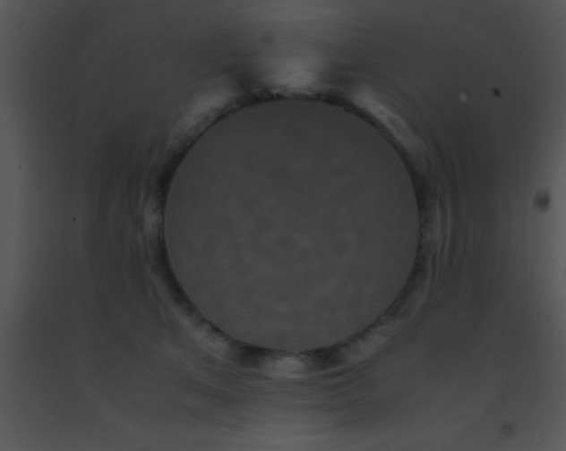 X0000091550513200708311357