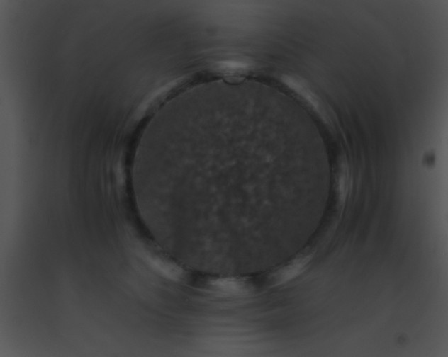 X0000091550516200708311357