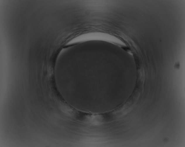X0000091550517200708311357