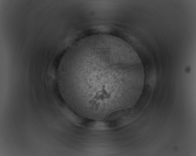 X0000091550518200708311357