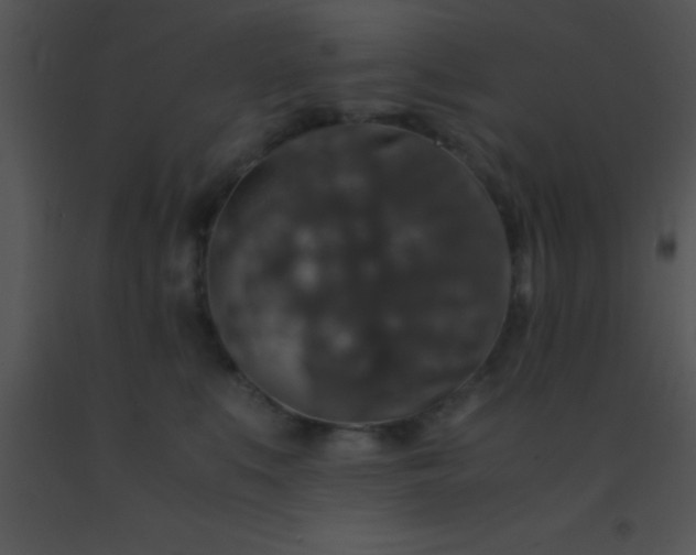 X0000091550519200708311357