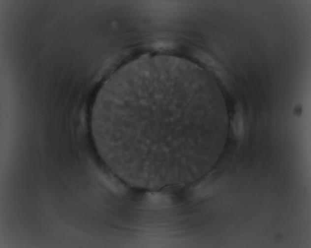 X0000091550520200708311357