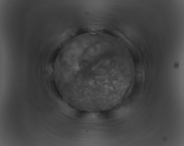 X0000091550523200708311357