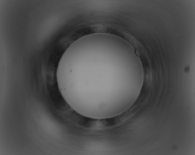 X0000091550525200708311357