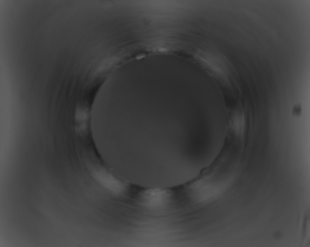 X0000091550526200708311357