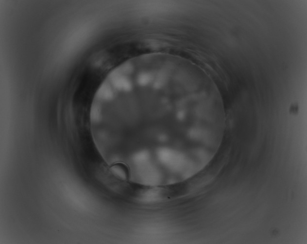X0000091550527200708311357