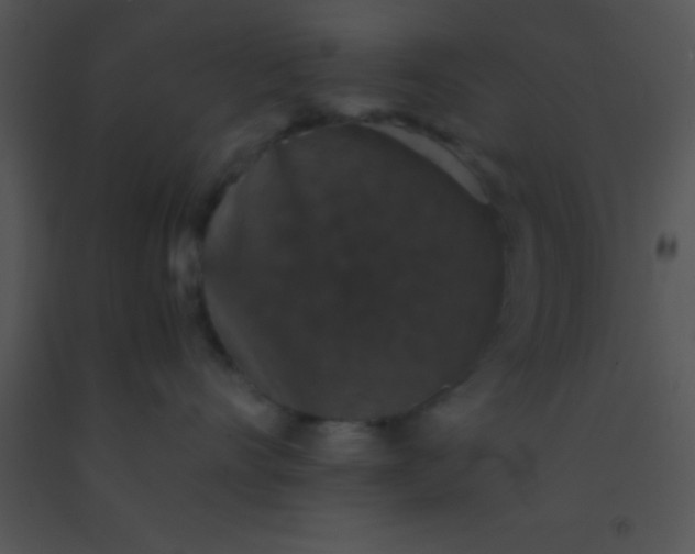 X0000091550528200708311357