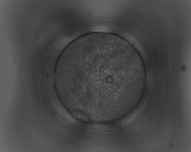 X0000091550529200708311356