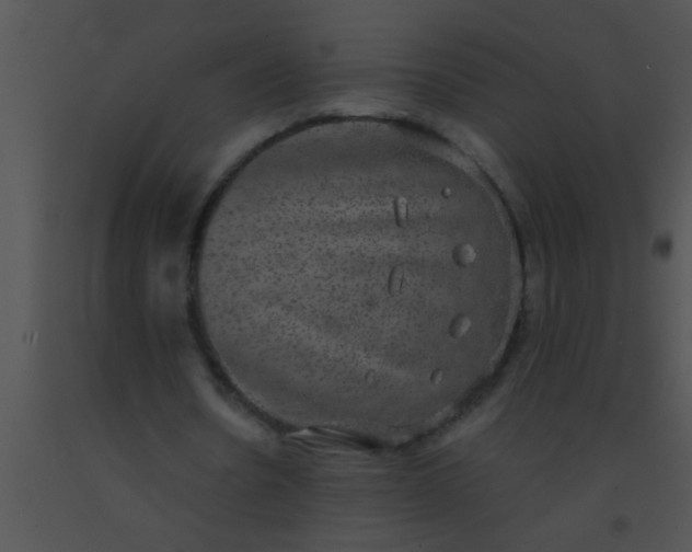 X0000091550530200708311356