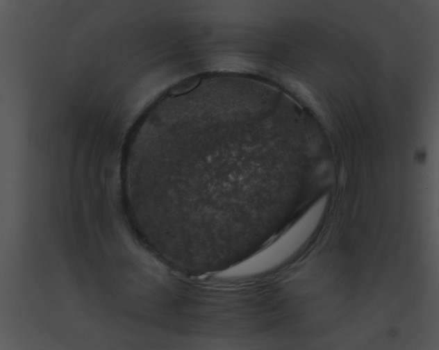 X0000091550531200708311356