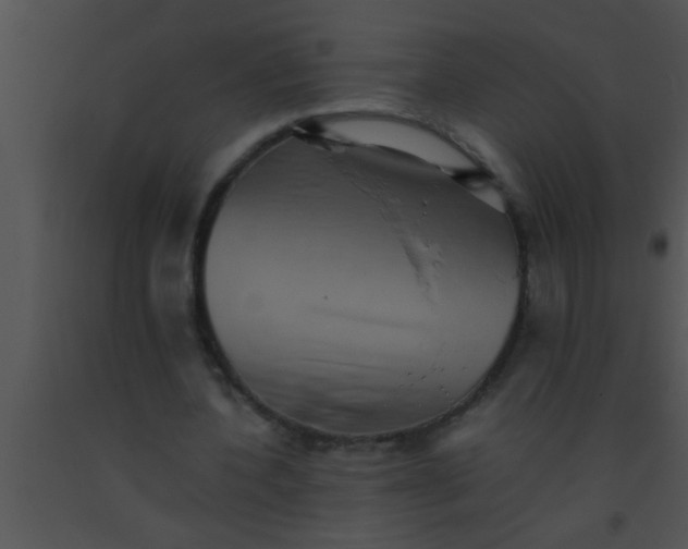X0000091550532200708311356