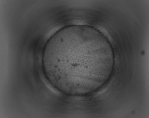 X0000091550533200708311356
