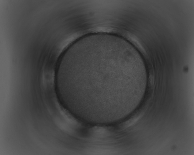 X0000091550534200708311356