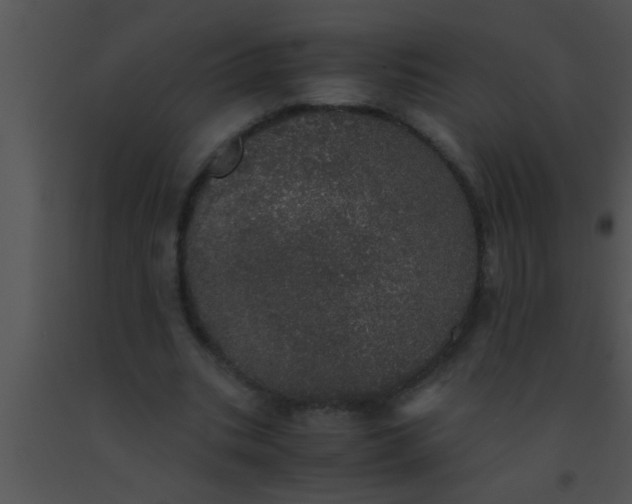 X0000091550535200708311356