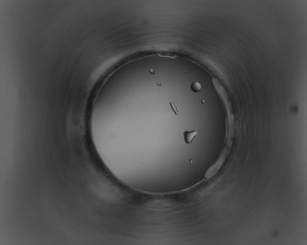 X0000091550536200708311356