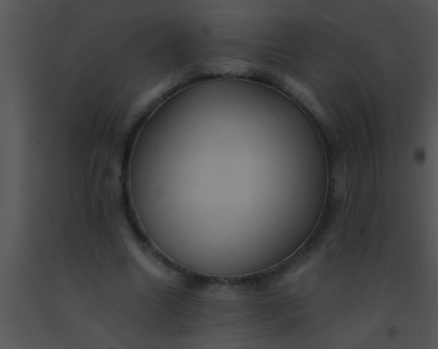 X0000091550538200708311356
