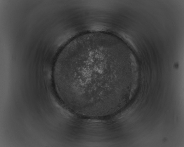 X0000091550539200708311356