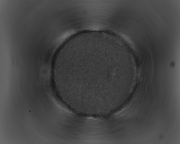 X0000091550540200708311356