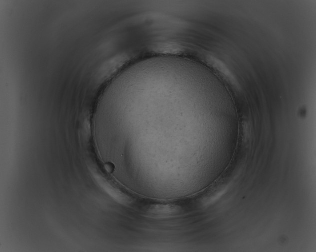 X0000091550541200708311356