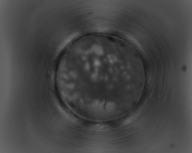 X0000091550542200708311356