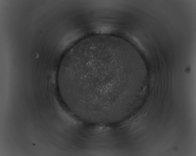 X0000091550543200708311356