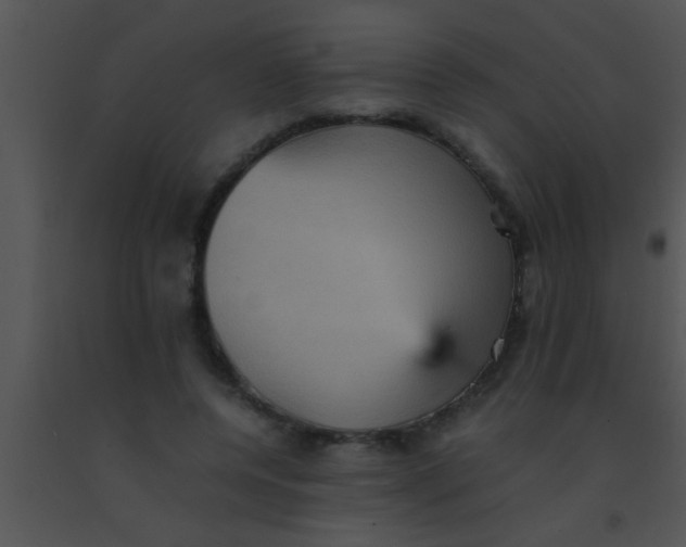 X0000091550544200708311356