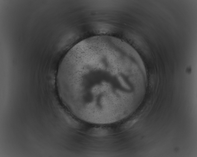 X0000091550545200708311356