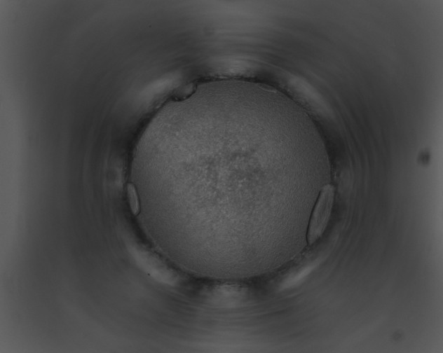 X0000091550546200708311356