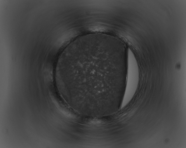 X0000091550547200708311356